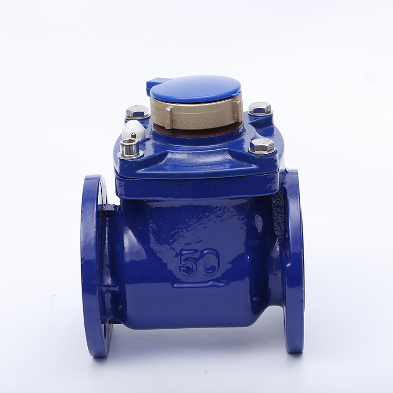 Why Is the Woltmann Removable Cold Water Meter the Right Choice for Reliable Water Measurement?