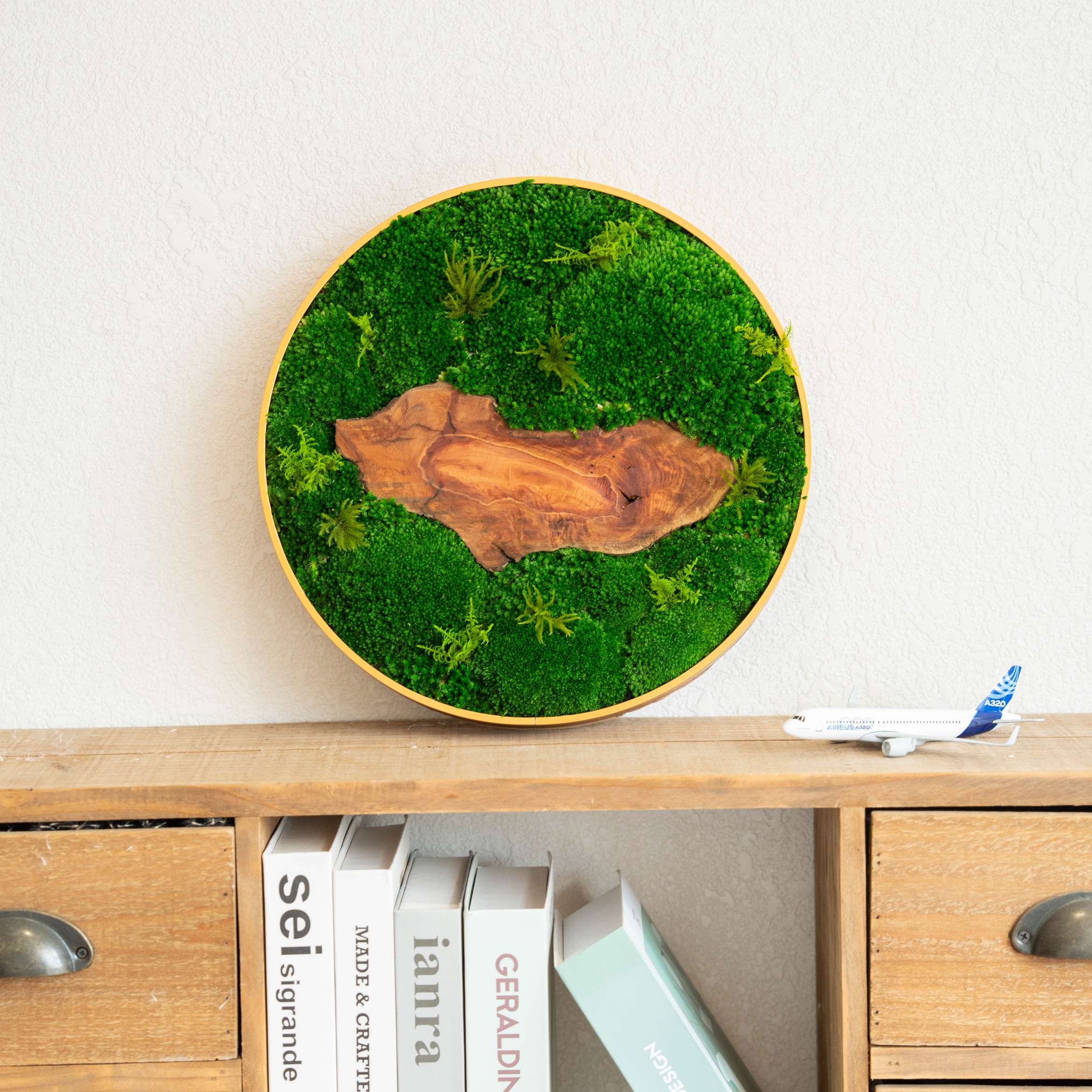 Preserved Moss Types: Which One Is Right for Your Space?
